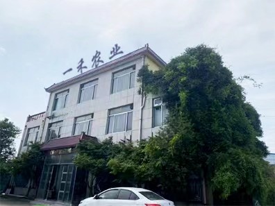 China Shandong Yihe Agricultural Technology Co., Ltd. Perfil de la compañía