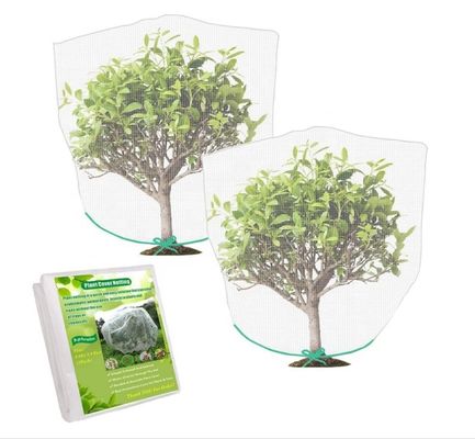 Ninguna Fuente de energía Bolsa de malla de cubierta de árbol Proteja su fruta de los insectos de varios tamaños