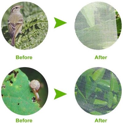Agricultura HDPE Plastic Anti Insect Mesh Insect Proof Net para cubrir el árbol de frutas Protección de la malla de bolsas Efectivo control de plagas