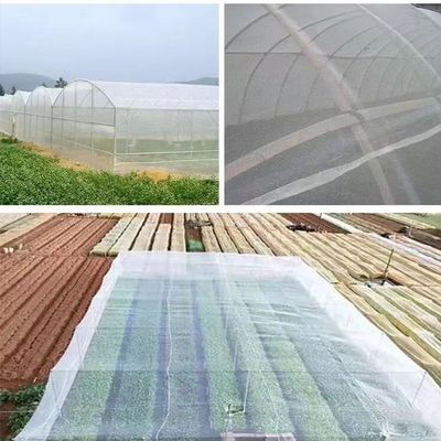 Redes de insectos de invernadero transparentes de HDPE con malla de plástico UV para sombrear las velas Redes de recinto para controlar las plagas