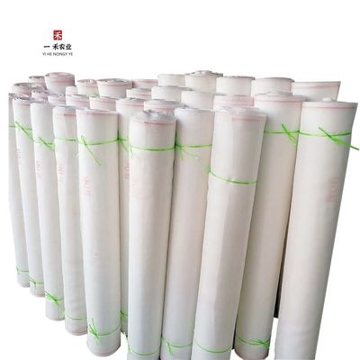 Redes de invernadero Agricultura Polyetileno de malla de insectos para huertos