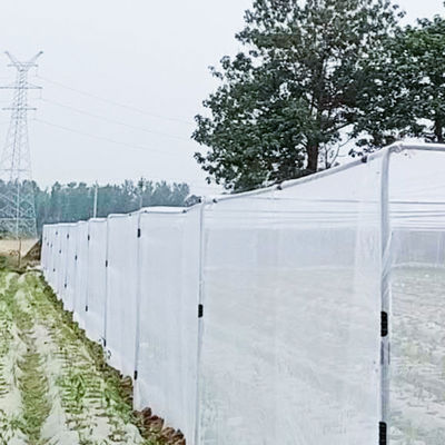 PE Agricultura Polyetileno de red de insectos para árboles y huertos 20 malla contra insectos plegable
