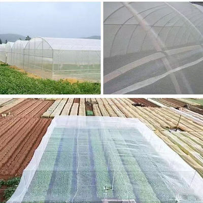 PE Agricultura Polyetileno de red de insectos para árboles y huertos 20 malla contra insectos plegable