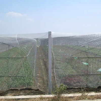 PE Agricultura Polyetileno de red de insectos para árboles y huertos 20 malla contra insectos plegable