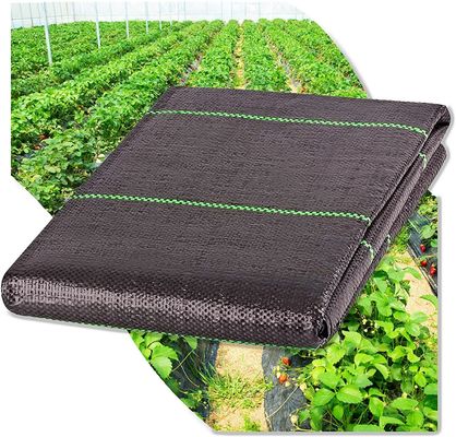 Jardín Agricultura Granja Negro Anti hierba Tejido Barrera de malezas Alfombra de control de mantillo Herramienta de tela PORTABLE