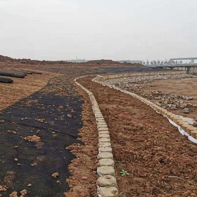 Protección de la hierba de pendiente Protección ecológica de los suelos y del agua