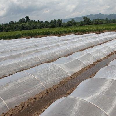 Redes de insectos anti-UV de HDPE Solución ideal para la protección de árboles frutales de vivero