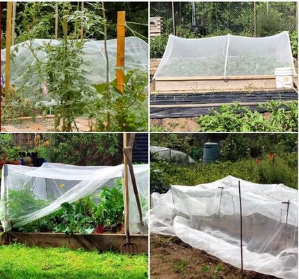 Redes de insectos anti-UV de HDPE Solución ideal para la protección de árboles frutales de vivero