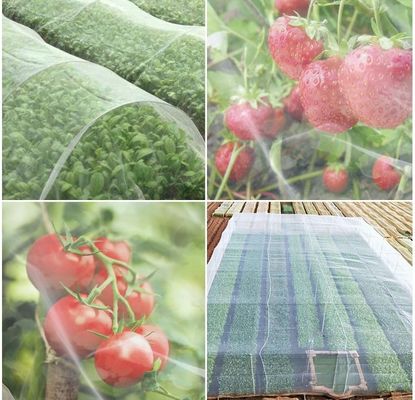 Redes de insectos anti-UV de HDPE Solución ideal para la protección de árboles frutales de vivero