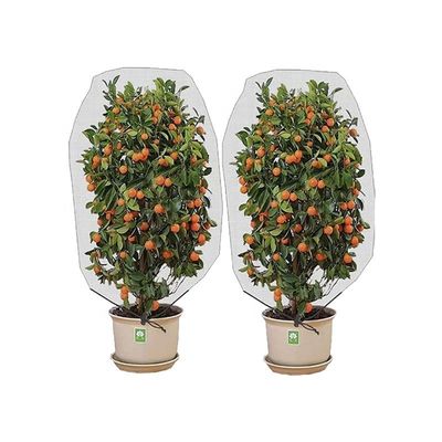 HDPE/PE/PP Red de insectos de plástico de cuerda de tracción para proteger a las aves Hortícolas Hortícolas Hortícolas Flores Frutas Blanco sin revestimiento