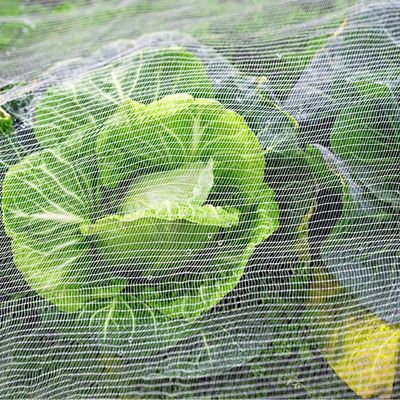 Revestida de malla de fibra de plata para la protección de insectos para jardines y invernaderos