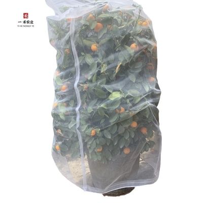 Sostenible 40 60 80 malla Red de protección contra insectos Invernadero Agro Tomate Proteger la malla a prueba de insectos Transparente Red anti áfidos