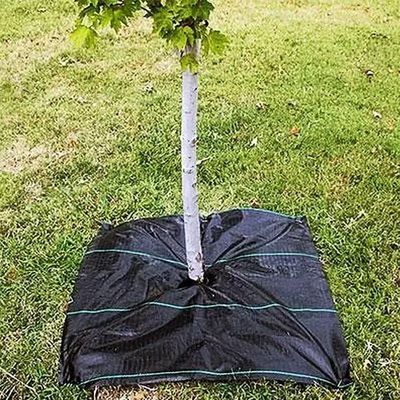 Protección de la membrana de tejido de PP PE de la capa de tierra de malla de hierba de alfombra de rollo de anti hierba de hierba de cobertura de película