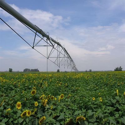 Suministro directo de maíz Centro agrícola a gran escala Sistemas de máquinas de riego pivot con 168 cm de diámetro y Ha en el restaurante