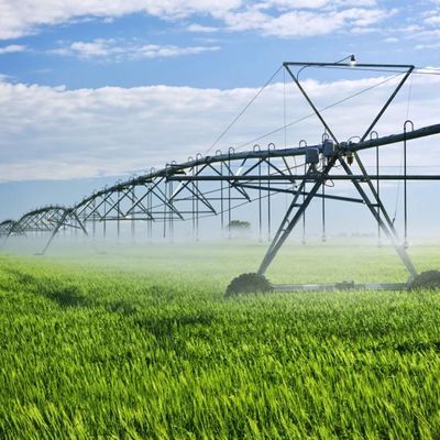 Agricultura Irritech Sistema de riego lineal de 230 pulgadas de diámetro para sus necesidades