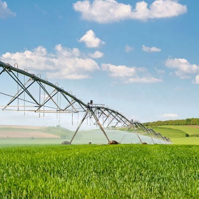 168 cm Diámetro DYP Equipo de maquinaria agrícola Gran cañón centro sistema de riego con rociador pivot para riego agrícola