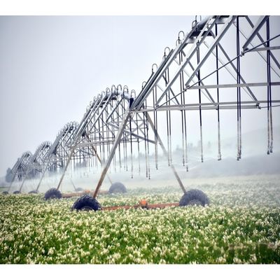 Combinación de tecnología y agricultura con monitoreo remoto