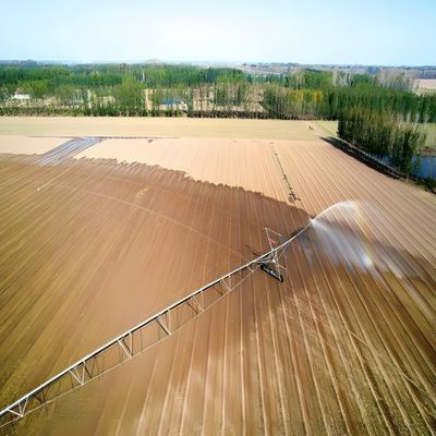 Ahorro energético y alta rigidez Sistema de riego por eje central agrícola para explotaciones agrícolas de 1 a 100 hectáreas Remolque lateral móvil