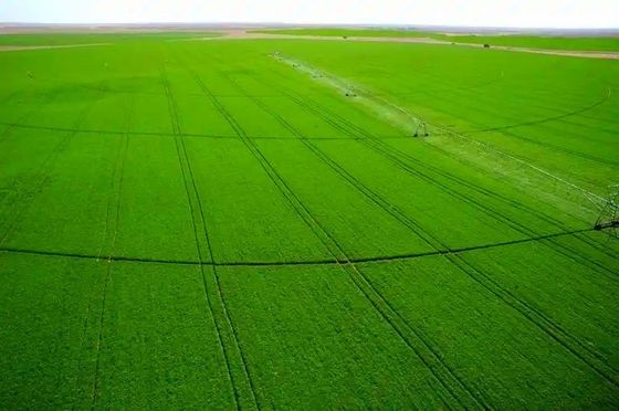 Éxito agrícola a largo plazo con nuestro sistema de pivote central de 30 pulgadas de diámetro Distribución precisa de agua y construcción robusta