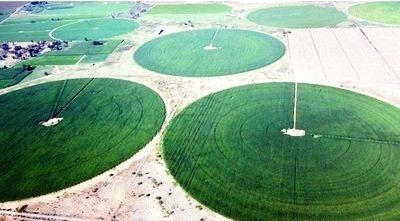 Sprays para empresas agrícolas prósperas Proof-Season Center Pivot que ofrece un rendimiento constante
