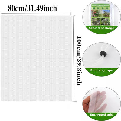 Bolsa de malla de nylon de 6 * 9 pulgadas para protección de plantas y frutas del jardín Di adiós a los pesticidas dañinos