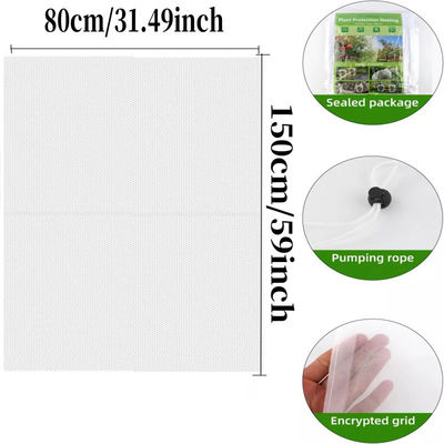 Bolsa de malla de nylon de 6 * 9 pulgadas para protección de plantas y frutas del jardín Di adiós a los pesticidas dañinos