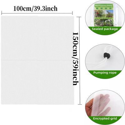 Bolsa de malla de nylon de 6 * 9 pulgadas para protección de plantas y frutas del jardín Di adiós a los pesticidas dañinos