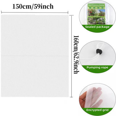 Bolsa de malla de nylon de 6 * 9 pulgadas para protección de plantas y frutas del jardín Di adiós a los pesticidas dañinos