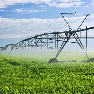 Aumente la productividad de su granja con el sistema de riego agrícola de giro lateral lateral lineal.