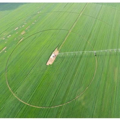 2025 Centro Agrícola Sistema de riego pivotal Máquina de riego de booms Núcleo del motor de engranaje de la caja de engranajes Componentes de rodamientos