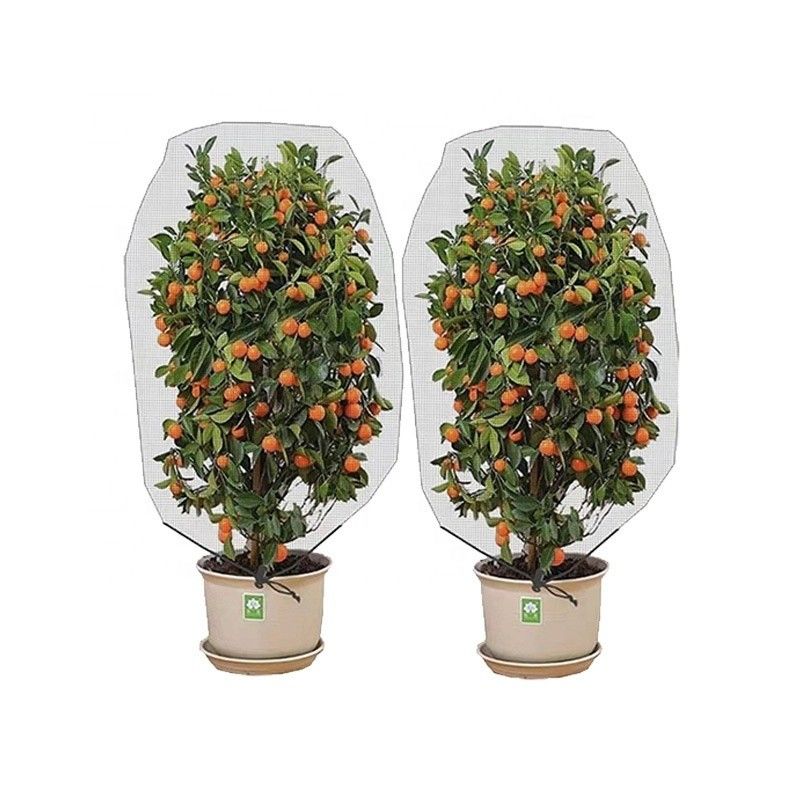 Agricultura HDPE Plastic Anti Insect Mesh Insect Proof Net para cubrir el árbol de frutas Protección de la malla de bolsas Efectivo control de plagas