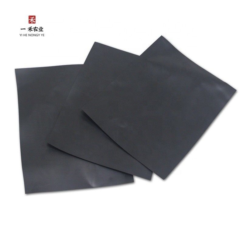 500 micrones HDPE Revestimiento de estanques para la acuicultura Revestimiento de estanques para la acuicultura Revestimiento de estanques para la acuicultura Revestimientos de plástico Precios de geomembrana Instalación de piscifactorías