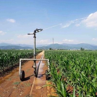 Irrigador de bobina de manguera Equipo de riego automático versátil con patrones de rociado ajustables Diámetro 236cm Tecnología IoT