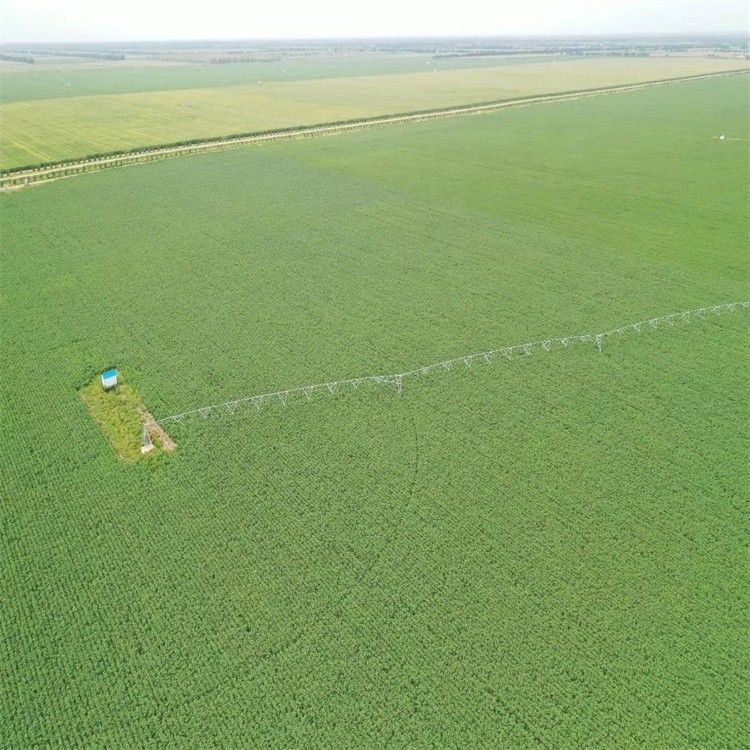 168 cm Diámetro Elección de exportación Sistemas de riego agrícolas modernos y equipos de riego central con superficie caliente de metal