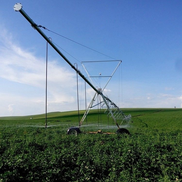 Sistema de riego de granjas pivot con una capacidad de 230 KG que desbloquea el potencial agrícola a través del monitoreo remoto