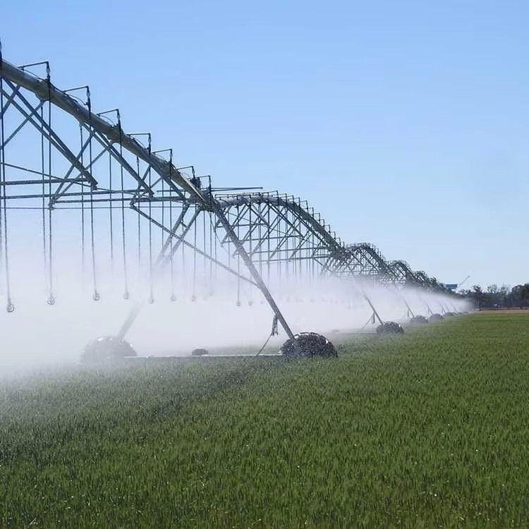 Sprays para empresas agrícolas prósperas Proof-Season Center Pivot que ofrece un rendimiento constante
